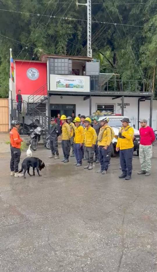 Preparativos