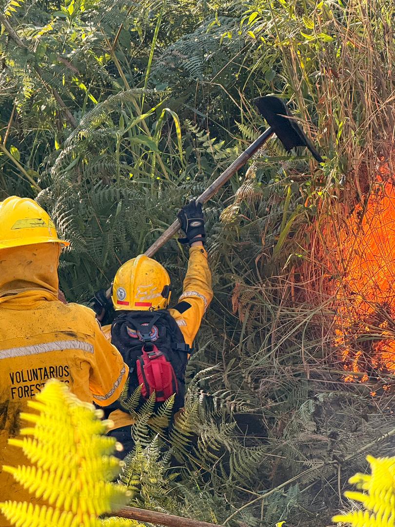 Emergencia